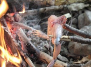 Как да се готви една жаба върху огън - оцеляване в дивата природа, и екстремни ситуации