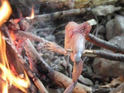 Как да се готви една жаба върху огън - оцеляване в дивата природа, и екстремни ситуации