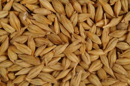 Как да приемате пшенични трици