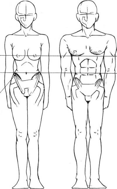 Как да нарисувате основите за тяло