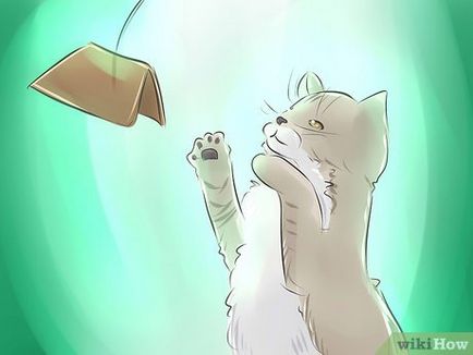 Как да си направим играчка за котка самоделно