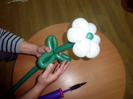 Как да направите маргаритка от балони (оригиналните цветя) Как да направите маргаритка от балони