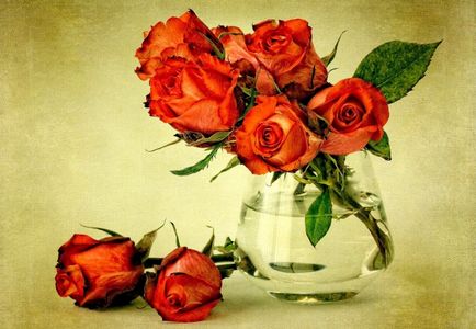 Как да запазим отрязаните рози във ваза със свежи по-дълго