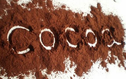 Как да се готви на какао къщата