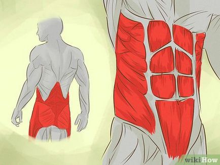 Как за укрепване на мускулите на кората