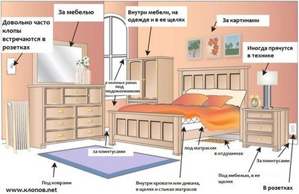 Как да се убие легло бъгове начини и методи за борба в дома