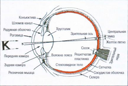 Как да видите хора,