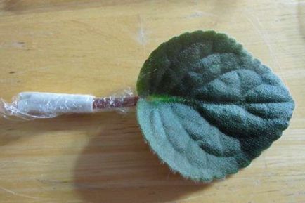 Как да растат теменужки uzumbarskiye (теменужки) на листовката у дома