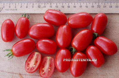 Как да расте чери домати