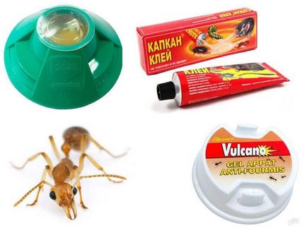 Как да се покаже мравките от дома лекарствата от народната медицина