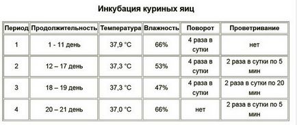 Как да донесе пилетата в инкубатор у дома