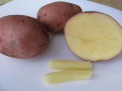 Картофи от хемороиди, ревюта, популярните рецепти за лечение на заболяване