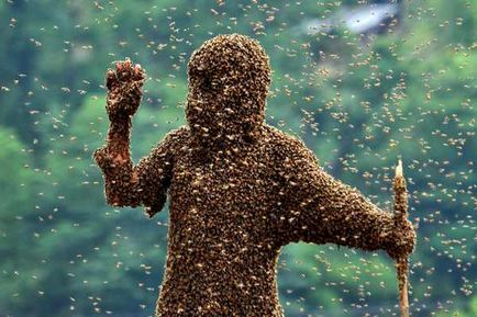 Защо мечтая за тълкуване на сънища пчели, пълзят, за да видите ухапването, оса, че ужилен в къщата, голяма, атака,