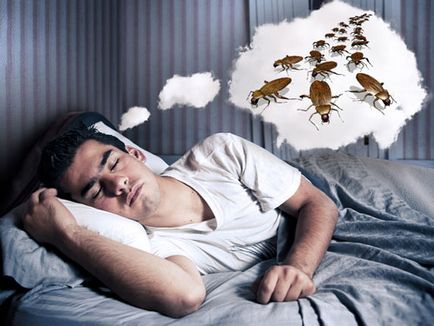 Защо мечтата на много хлебарки тълкуване на сънищата и на живо, тях и други мечти убие