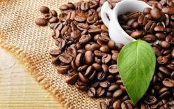 Китайски употреба кафе на зърна и приложни техники