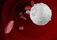 Cellular имунитет, който го vitaportal - Здраве и медицина