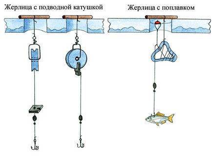 Когато щука кълве - което, при всякакви климатични условия и по всяко време на годината, най-добре е улов,