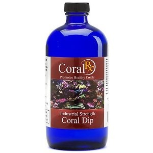 Coral заболяване - профилактика и лечение на корали • orphek