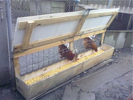 Хранилки за пилета с ръцете си