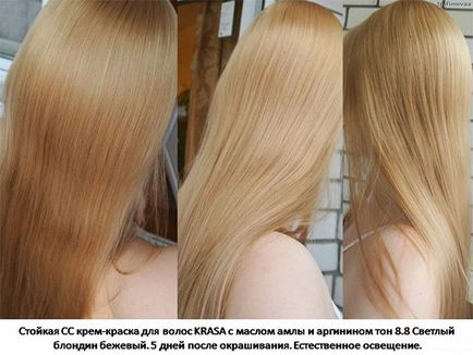 за боядисване на коса без амоняк Faberlik серия палитра и устойчиви красота (снимка)
