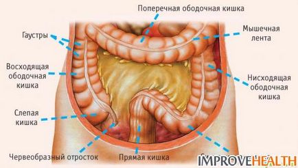 Лечение на основни заболявания на тънките черва