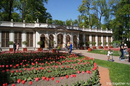 Лятна градина в Санкт Петербург, как да стигнем до там, какво да се види