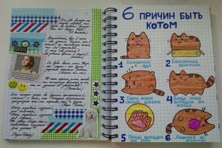Личен дневник за момичета идеи за дизайна (снимка)