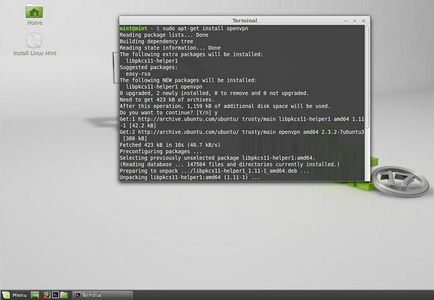 Linux мента как да инсталирате инструкции стъпка по стъпка, функции и коментари