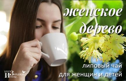 Linden чай (респираторни заболявания) Linden чай
