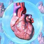 Миокардит сърце - какво е това, причини, последствия, МКБ-10