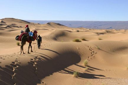 Няколко думи за Такламакан Такла Макан-пустинен голямо семейство пътуване Китай