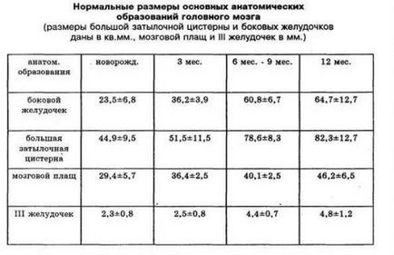 Новородено neurosonography какво е, и скоростта на запис