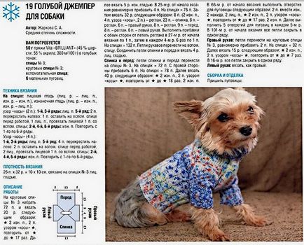 Куче дрехи със собствените си ръце - модел за малки породи със снимки и видео, плетене схема