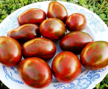 Характеристики на отглеждане на домати Черно Moor