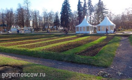 Соколники Park - уникална туристическа дестинация за всички онези, интересен София