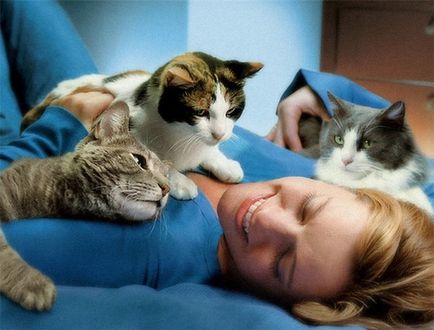 Защо котките мъркане - основните причини за мърка котки и подробно обяснение на всеки един от тях