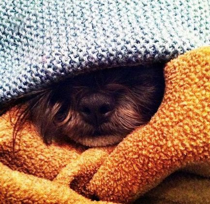 Защо трябва да спи под тежък одеяло