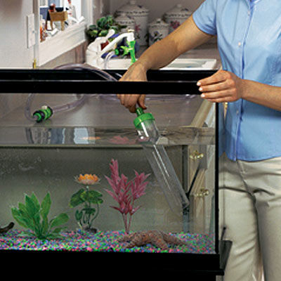 Замяна на водата в аквариума - за какво е