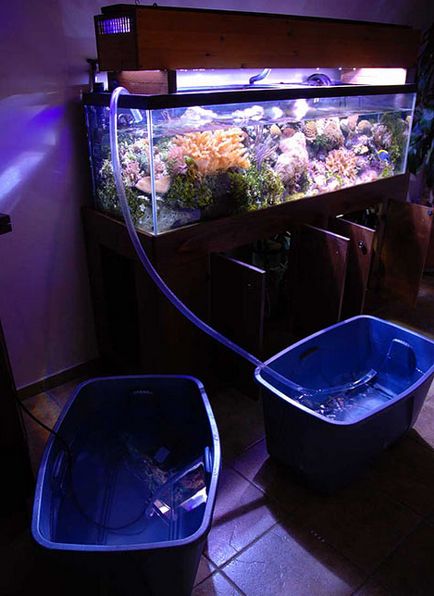 Замяна на водата в аквариума - за какво е