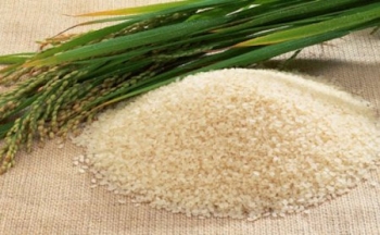 Полезните свойства на оризови трици