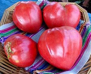 Волски сърдечни домати