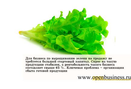 А печеливш бизнес расте зелено за продажба