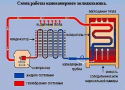 Принципът на работа на хладилника