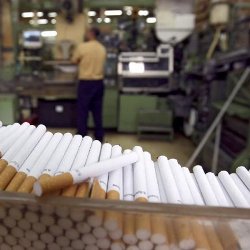 производство на цигари като бизнес