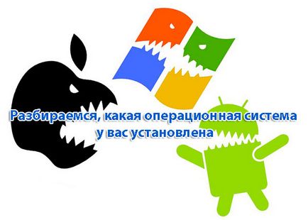 Ние разбираме това, което се инсталира ми операционна система (операционна) Ние разбираме това, което се инсталира ми операционна система