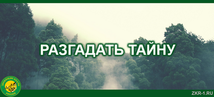 Разгадае мистерията, шум Cedars български новини, снимки, книги, цитати