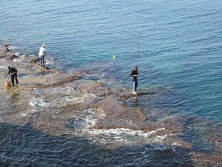 Риболов в Черно море от брега, как да и какво да улови в Черно море