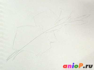 Gladiolus Рисуване с молив - уроци по рисуване моливи и пастели