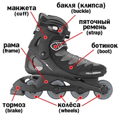 Ролери за начинаещи, как да изберете клиповете