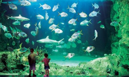 Най-големите аквариуми в света